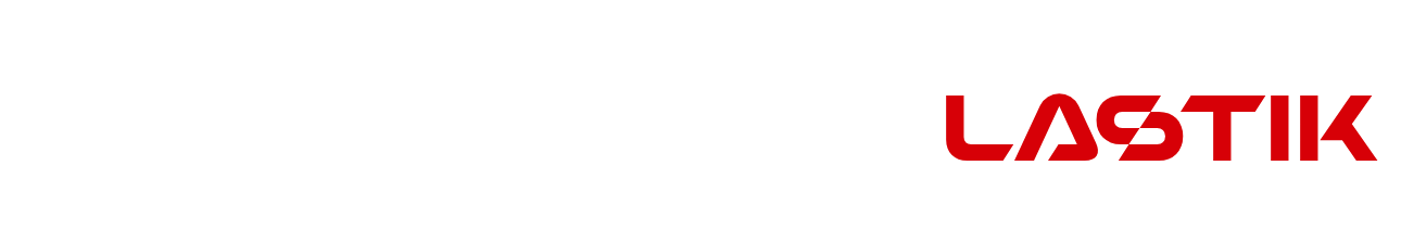 Sakarya Oto lastik logo